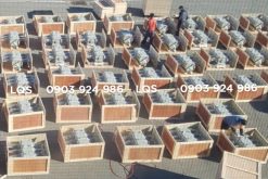 Máy cắt ngắt tải LBS trung thế Shinsung 38kV 630A khí SF6